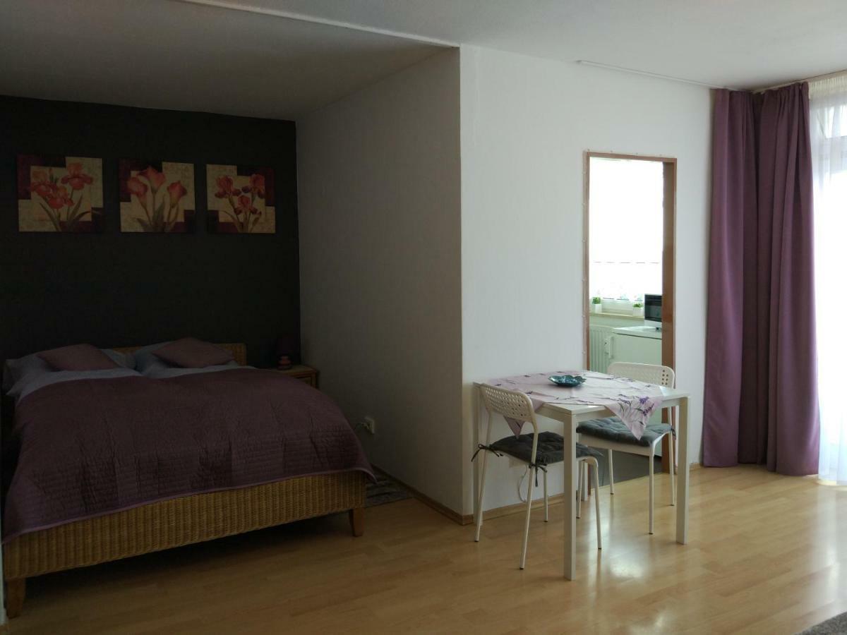 Hausburg Studio. View Apartment