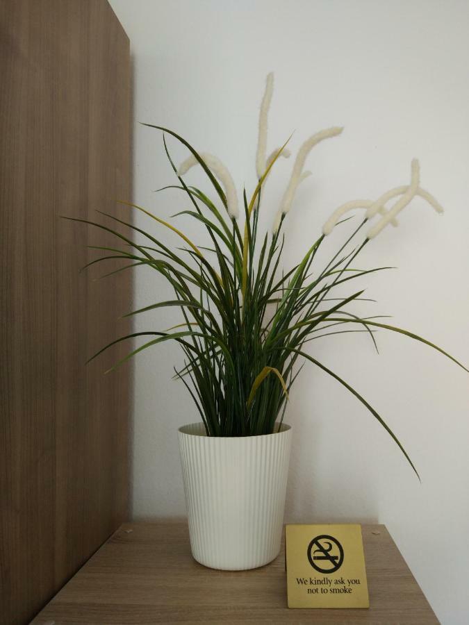 Hausburg Studio. View Apartment